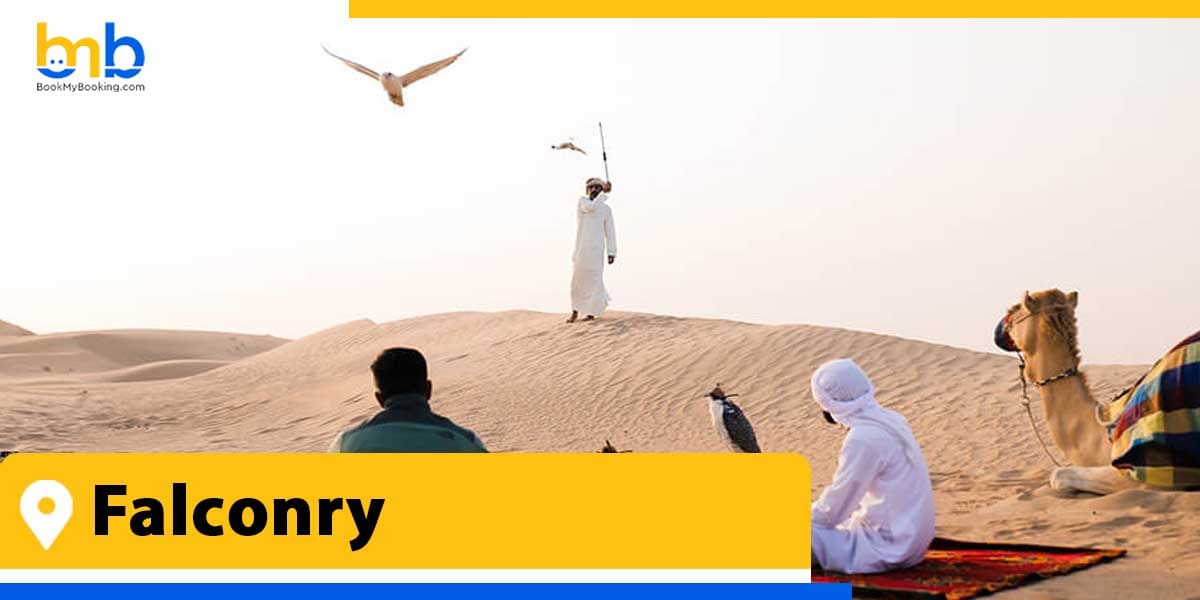 falconry from bookmybooking