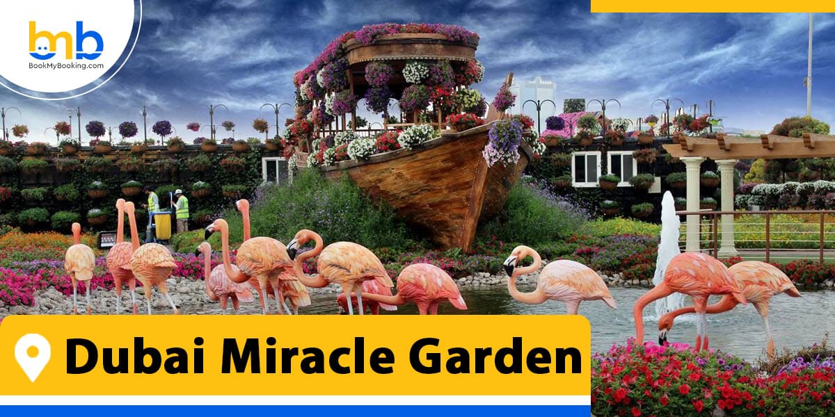 Dubai Miracle Garden from bookmybooking