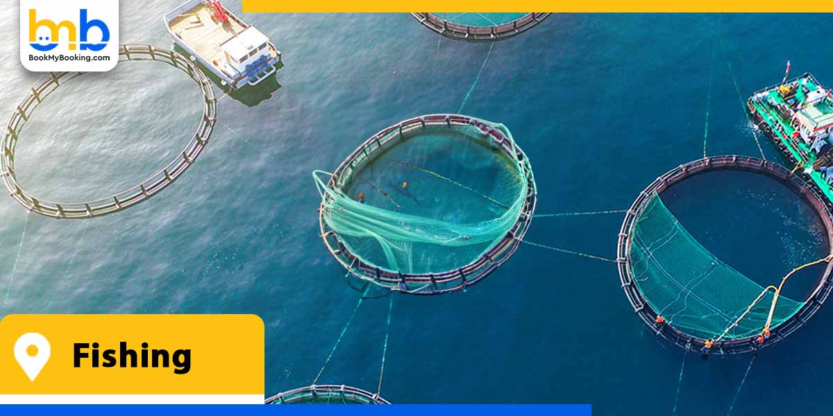 fishing from bookmybooking