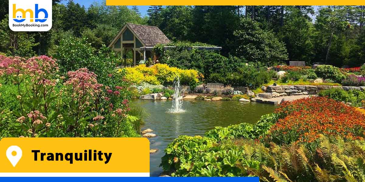 tranquility from bookmybooking
