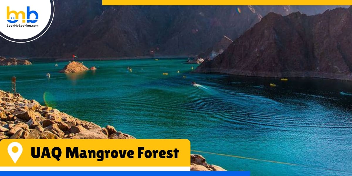 uaq mangrove forest from bookmybooking