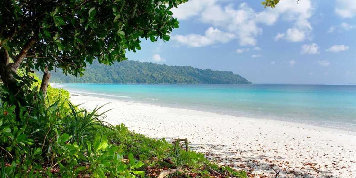 radhanagar beach havelock island beaches in india from instaglobalvisa