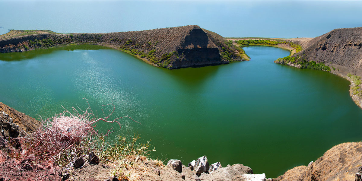 central island national park wildlife safaris in kenya