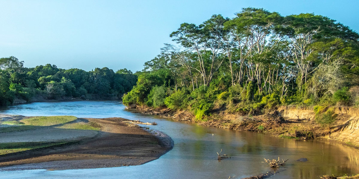 kora national park wildlife safaris in kenya