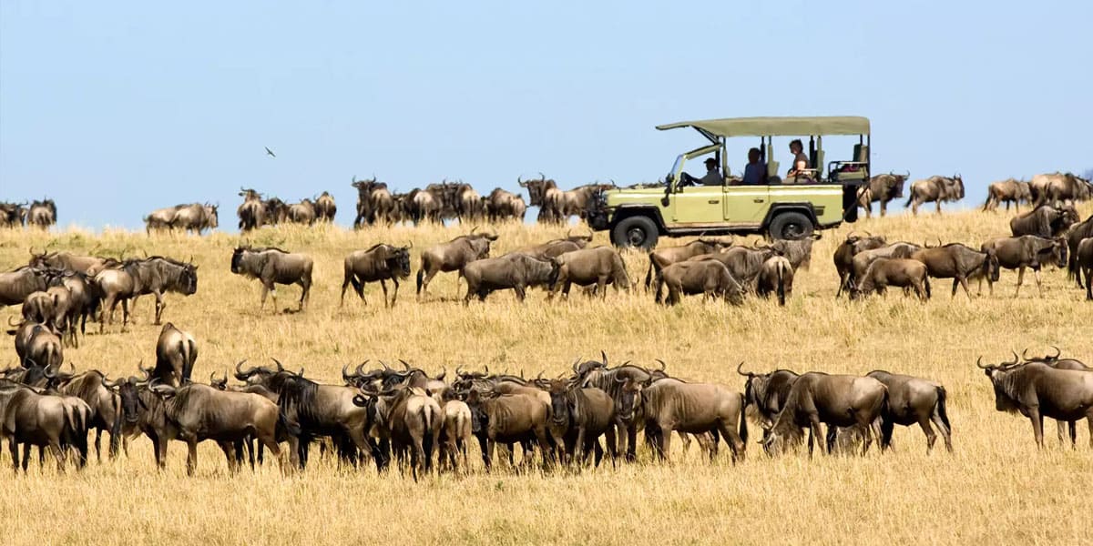 migration from instaglobalvisa