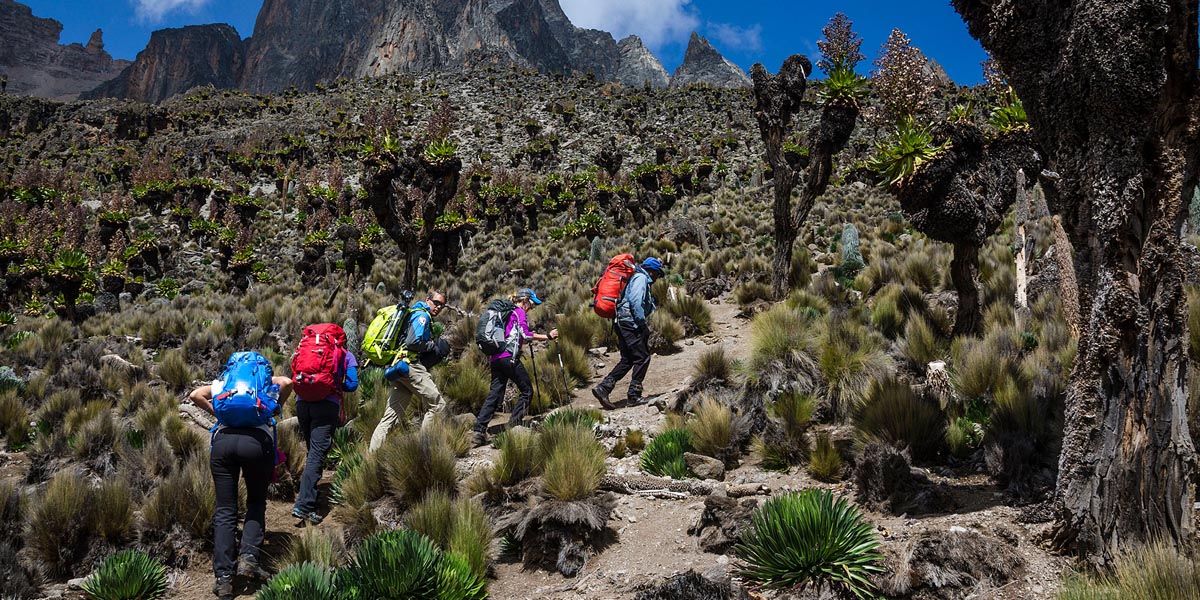 hiking mount kenya add in your kenya bucket list