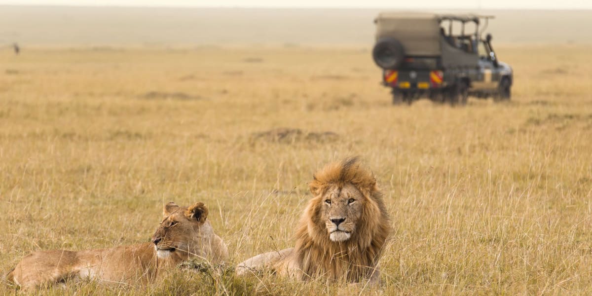 maasai mara national reserve in kenya from instaglobalvisa
